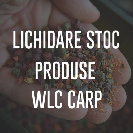 1 LICHIDARE STOC e1673282052939 | WLC-CARP