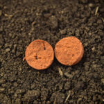 boilies fiert red crab 24mm