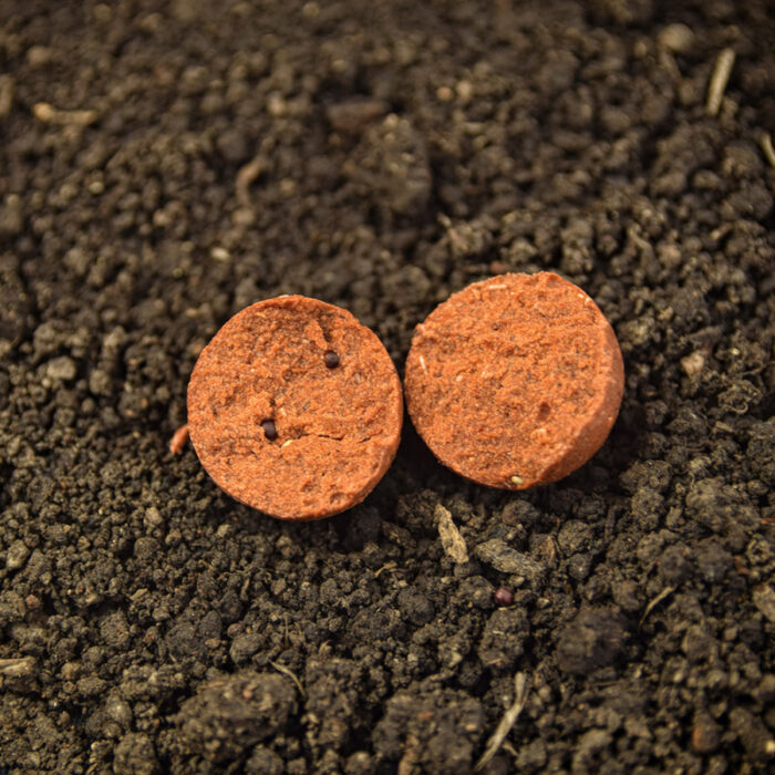 boilies fiert red crab 24mm