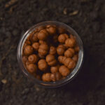 cocoon mini boilies krill
