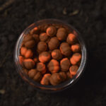 cocoon wafters artar 6mm