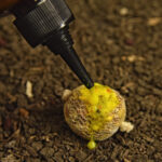 lichid fluo fizz tigernuts