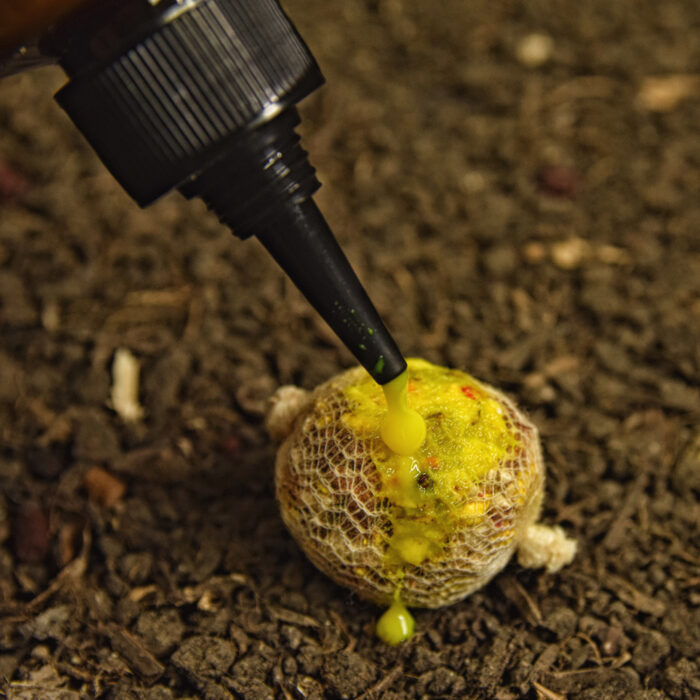 lichid fluo fizz tigernuts